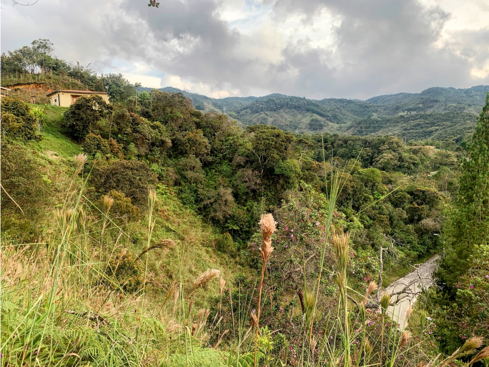 Lote en Guatapé, perfecto para glamping o vivienda campestre — foto 5