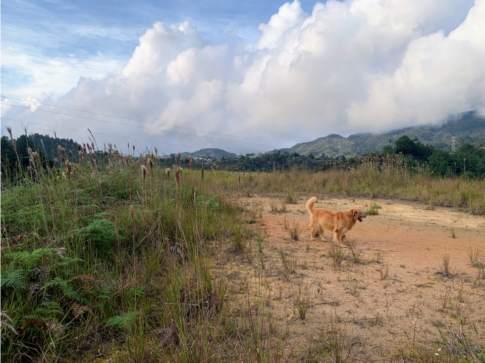 Lote en Guatapé, perfecto para glamping o vivienda campestre — foto 6