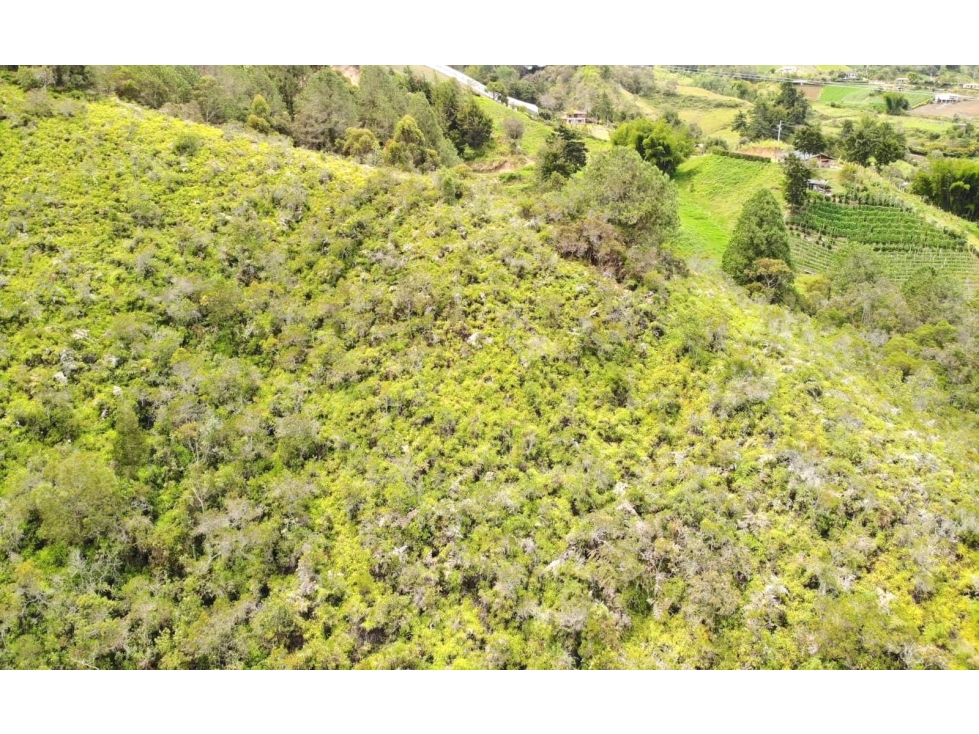 Lote en venta en Marinilla ideal para glamping y ecoturismo — foto 4