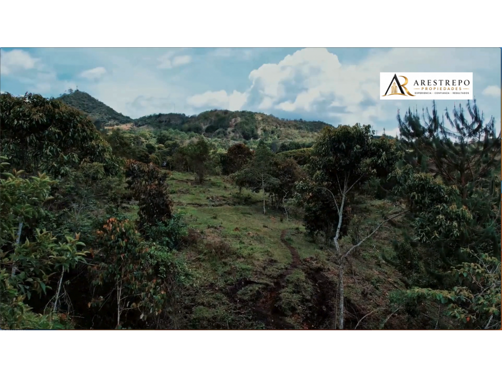 Venta lote en Rionegro ideal proyecto de bienestar 30000m2 — foto 6
