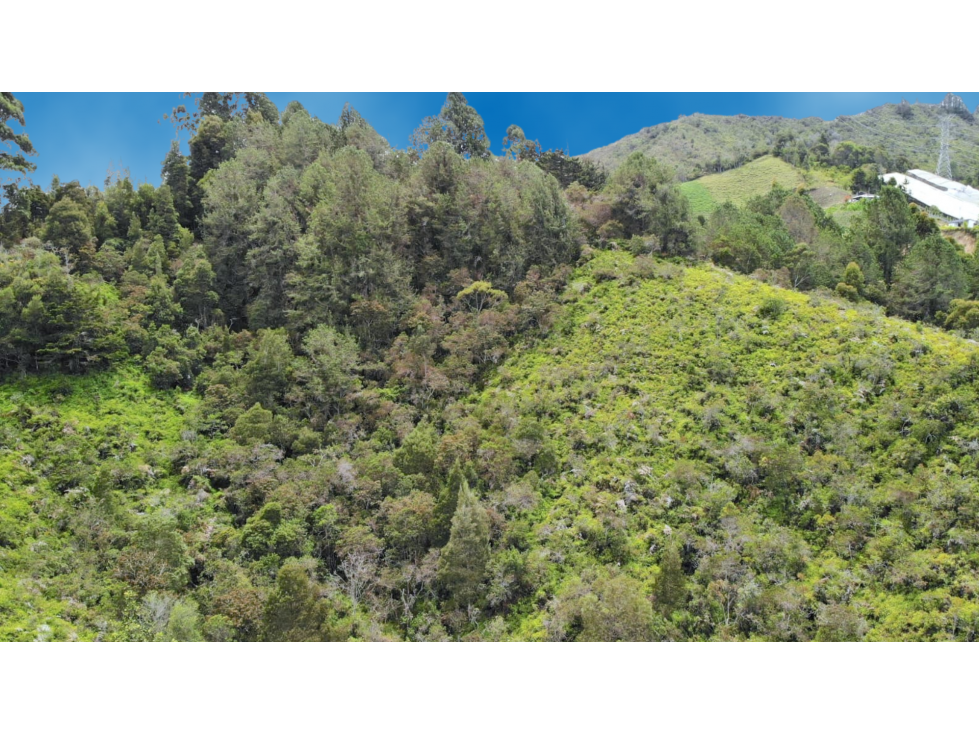 Venta lote en Marinilla, con bosque ideal para ecoturismo y cabañas — foto 6