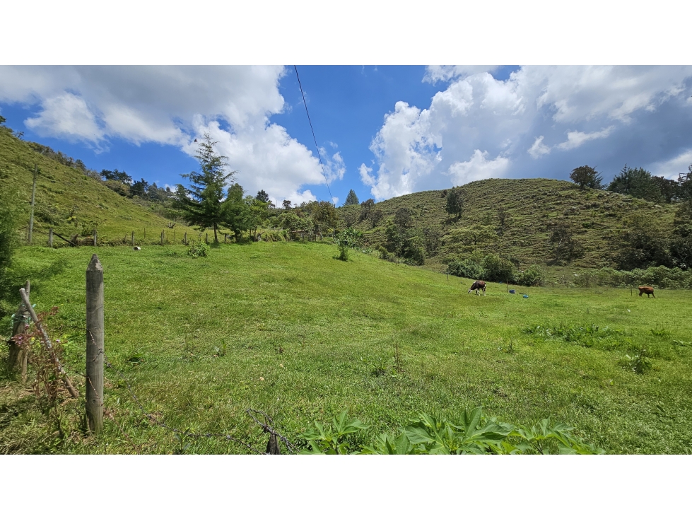 Título: Lote en Venta El Retiro, 100% plano, Vereda Puente Peláez — foto 2