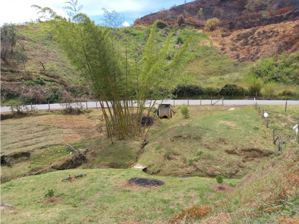 Venta de Lotes en San Vicente, Excelente Precio y facilidad de pago — foto 3