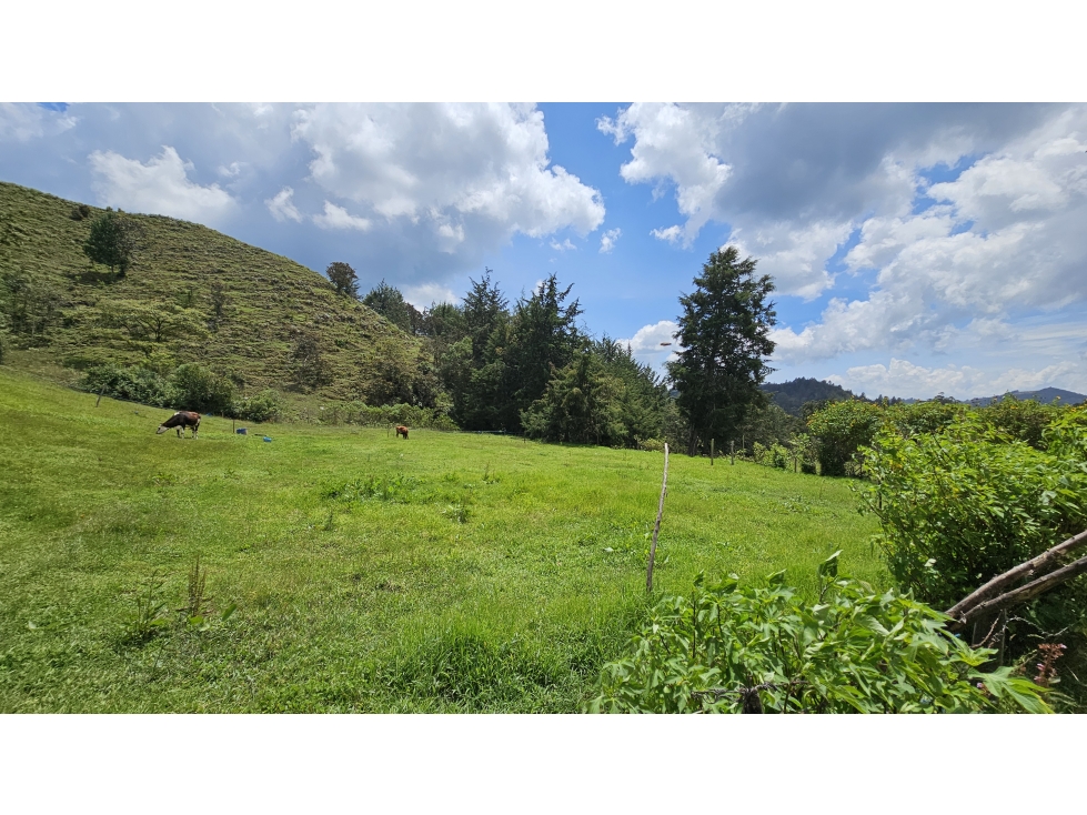 Título: Lote en Venta El Retiro, 100% plano, Vereda Puente Peláez — foto 3