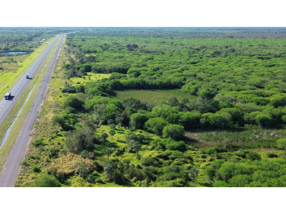16.850 has. ganaderas en bajo Chaco a 1,5 horas de Asunción - 6