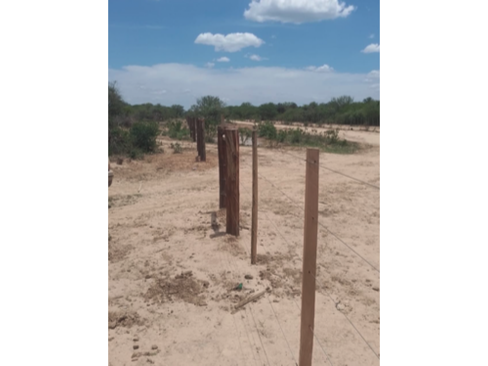 8.141 hectareas, MONTE EN ZONA DE GENERAL DIAZ. - 5