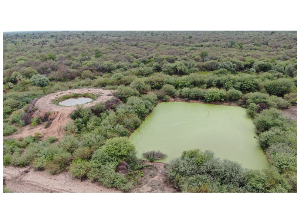 4.800 has. aptitud mixta en zona de Margarinho, Chaco - 4