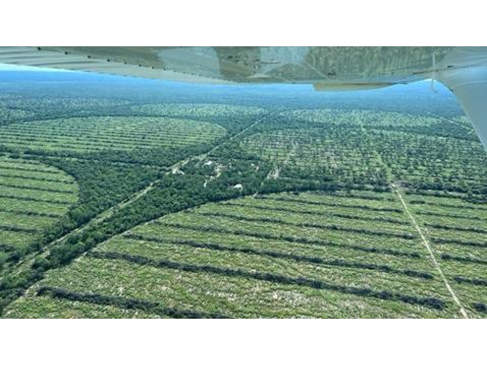 3.369 has. agro-ganaderas en Chaco oeste, sobre acuifero - 1
