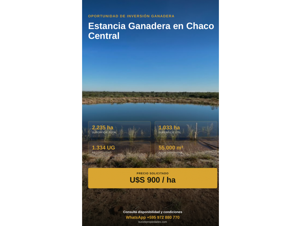 2.235 has. en Chaco Central, campo ganadero listo - 2