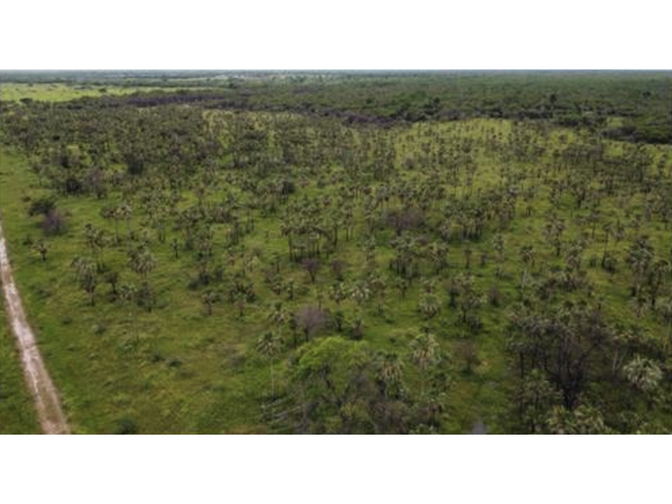 1.139 has, Campo para ganadería en Bajo Chaco, Paraguay - 1