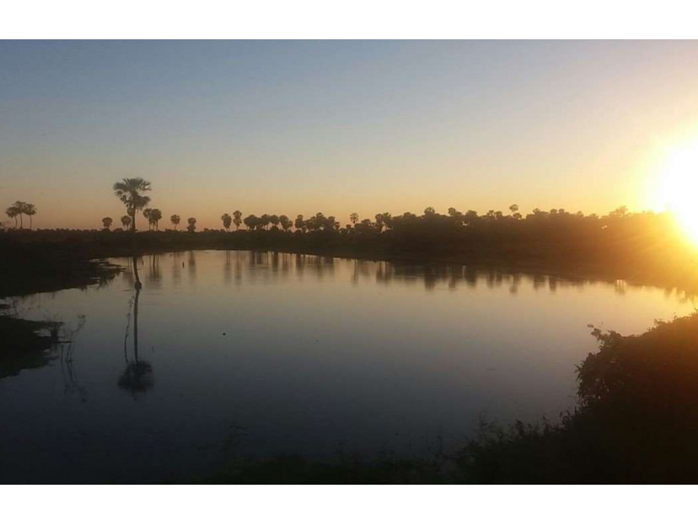 2800 has. campo ganadero funcionando, vendemos en Bajo Chaco - 1