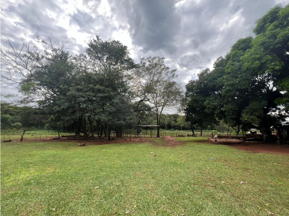 50 Has Estancia Ovina en Piribebuy, a 5,5 km de Ruta Nueva - 3