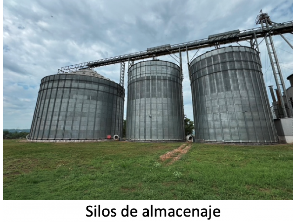 1300 has. con agricultura, silos, fabrica y feedlot en San Pedro - 3