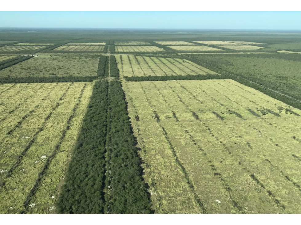 12.700 has. en Alto Paraguay A 89 KM DE LA BI OCEANICA - 1