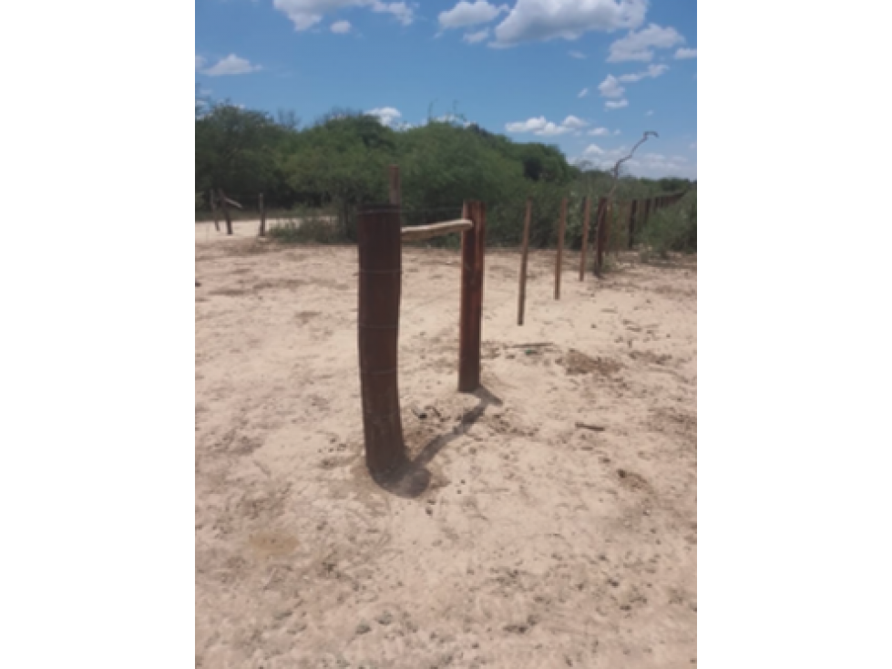 8.141 hectareas, MONTE EN ZONA DE GENERAL DIAZ. - 6