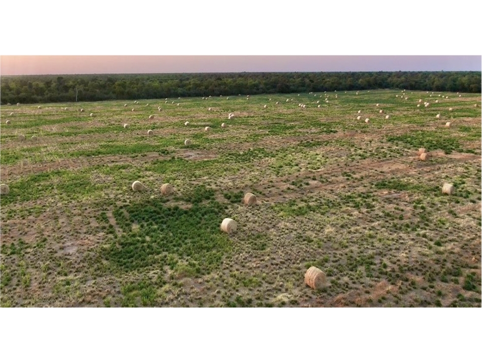 4.800 has. aptitud mixta en zona de Margarinho, Chaco - 3