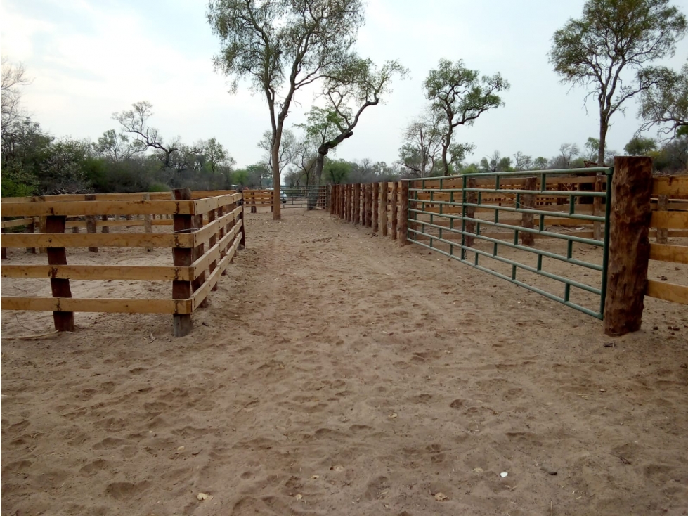 9850 has. agroganaderas con pivot, en Boquerón. - 3