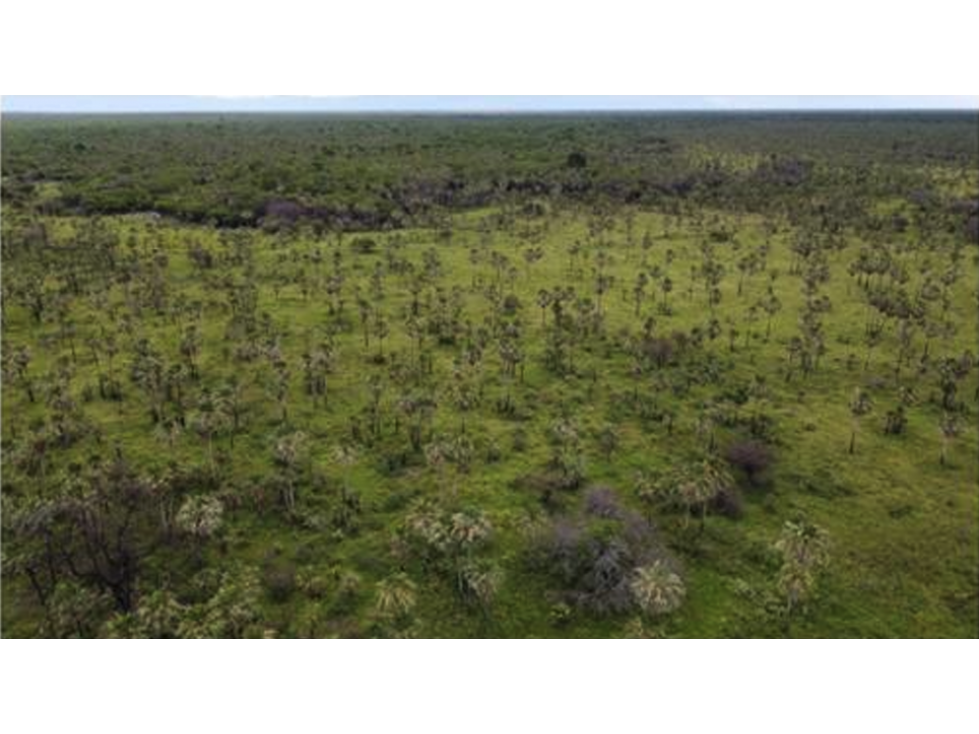 1.139 has, Campo para ganadería en Bajo Chaco, Paraguay - 2