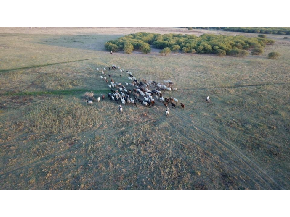 921 ha en venta o arrendamiento, Bajo Chaco - 4