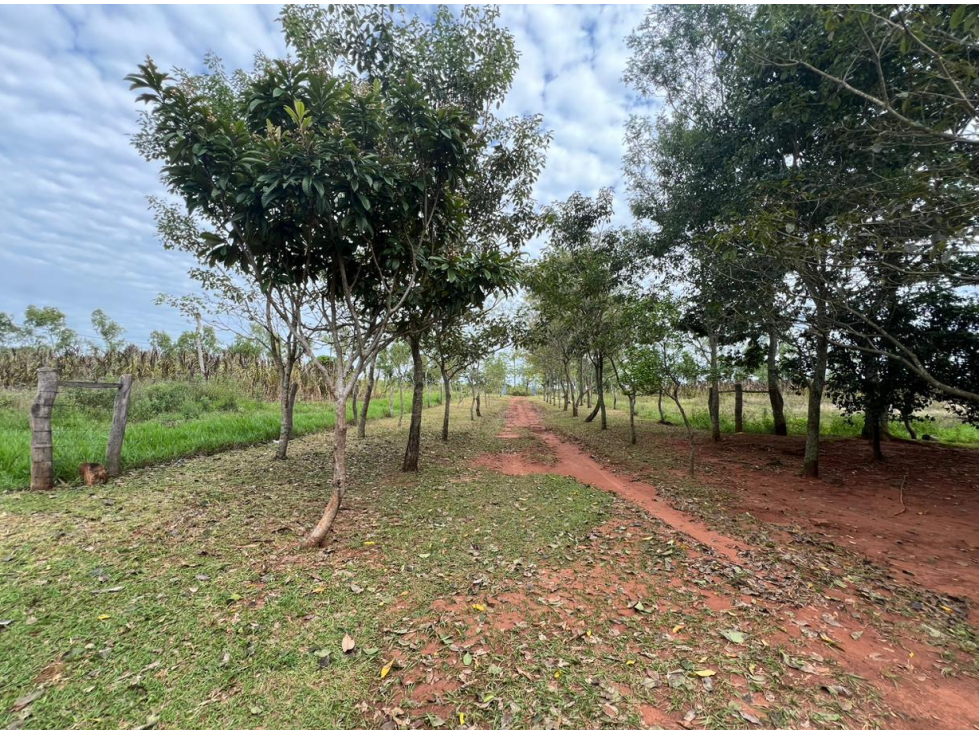 50 Has Estancia Ovina en Piribebuy, a 5,5 km de Ruta Nueva - 4