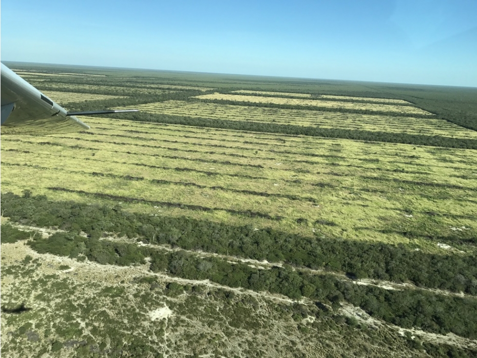 Estancia 12.732 ha en venta, Alto Paraguay Lista para producir - 1