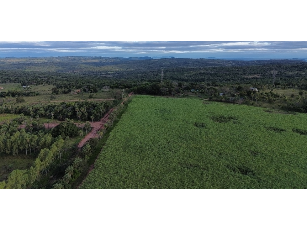 50 Has Estancia Ovina en Piribebuy, a 5,5 km de Ruta Nueva - 2