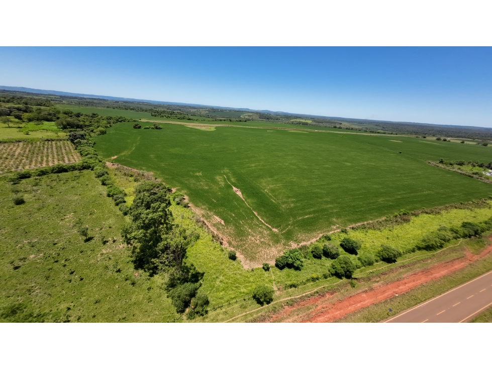 100 has. campo agricola en Tavai,Caazapa. - 5