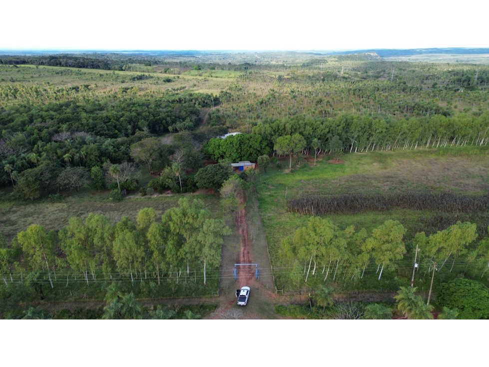 50 Has Estancia Ovina en Piribebuy, a 5,5 km de Ruta Nueva - 6