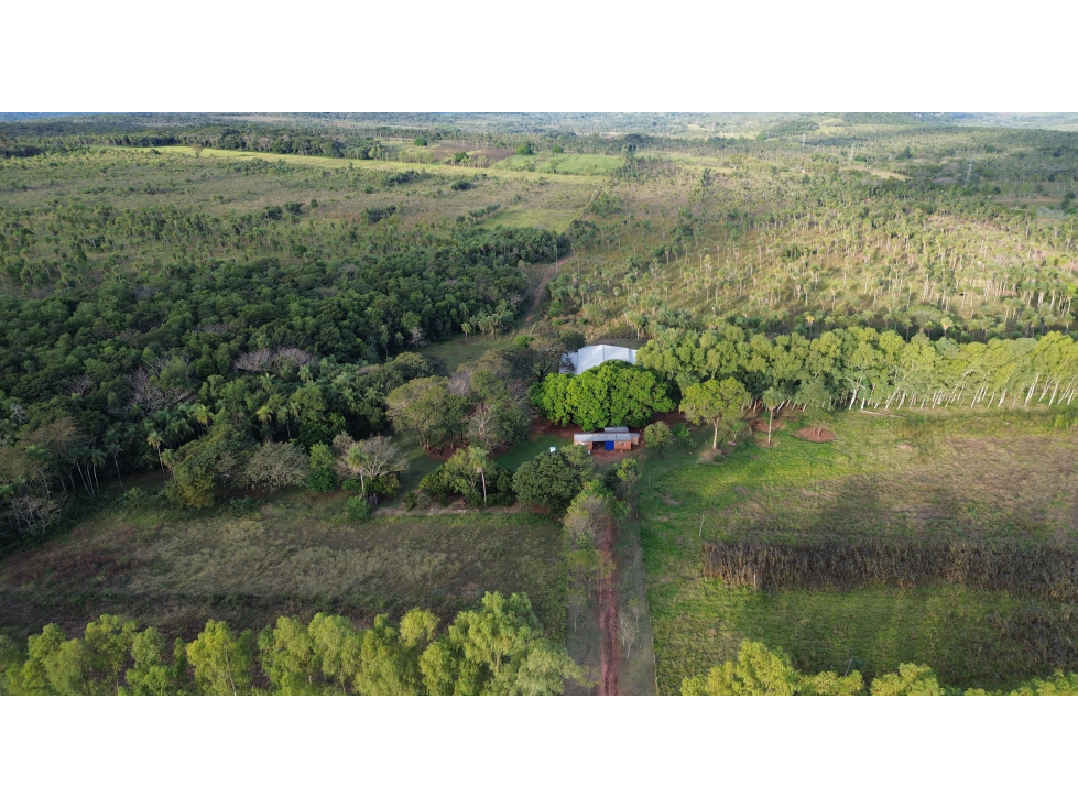 50 Has Estancia Ovina en Piribebuy, a 5,5 km de Ruta Nueva - 5