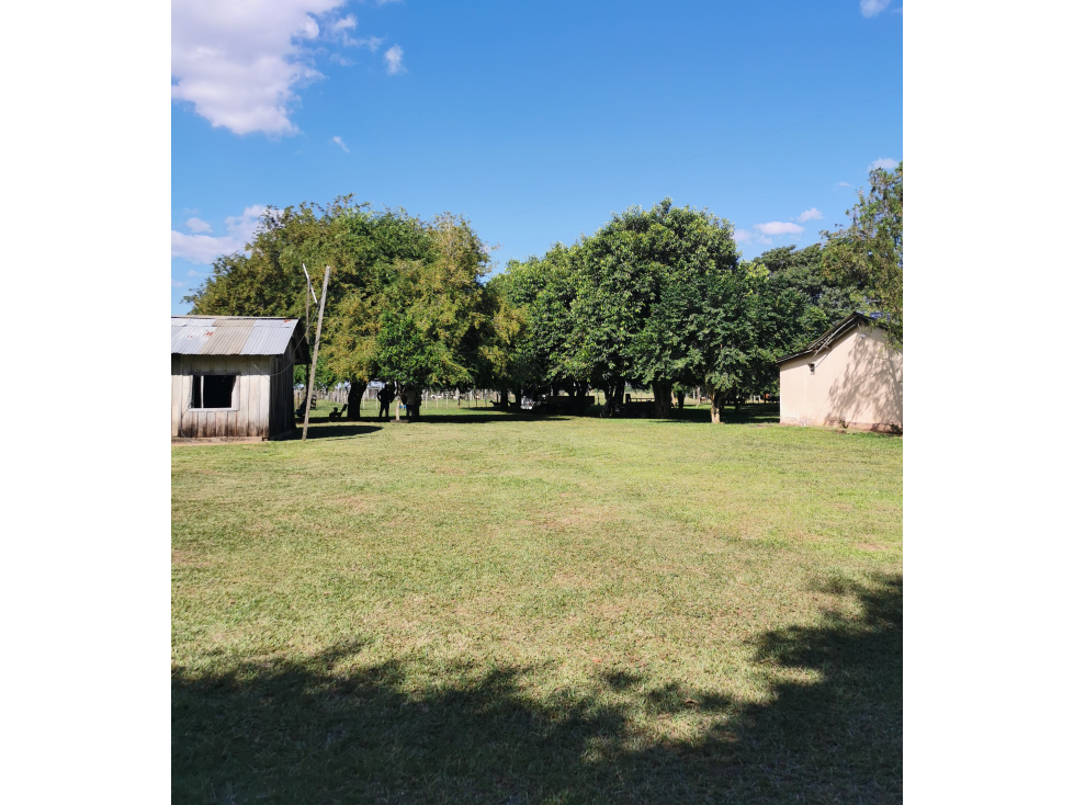 Vendemos 576 has. de campo a 14 km de Santaní, en San Pedro - 6