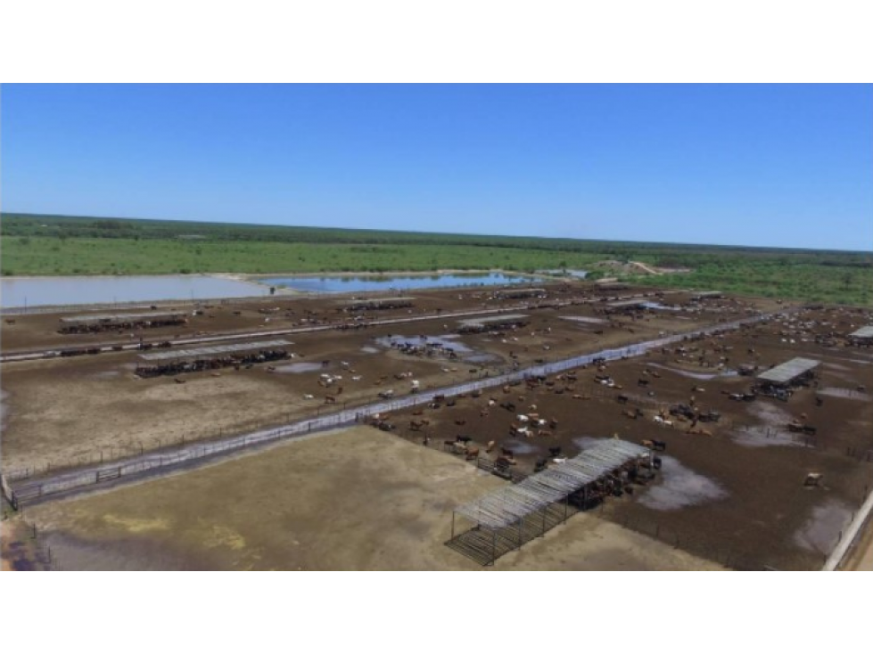 4.600 has AGROGANADERAS, en zona POZO COLORADO - 4