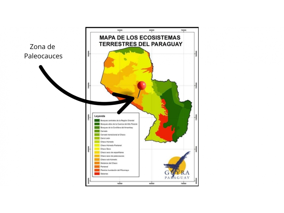 Estancia de APTITUD MIXTA, CON 3.600 hectáreas en bajo Chaco - 3