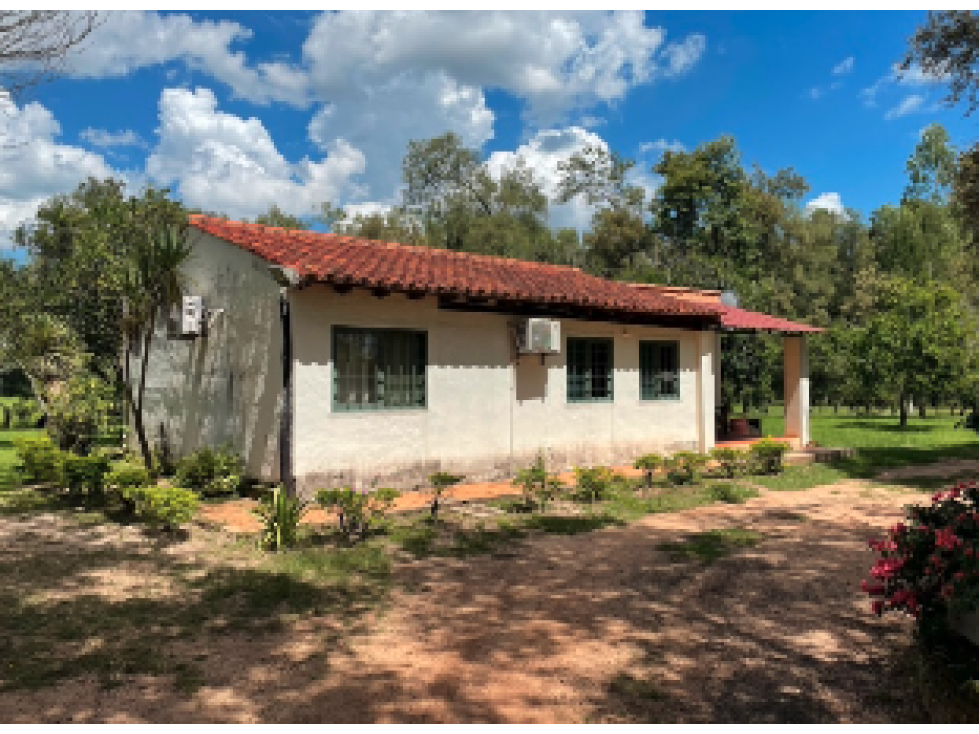 1300 has. con agricultura, silos, fabrica y feedlot en San Pedro - 6