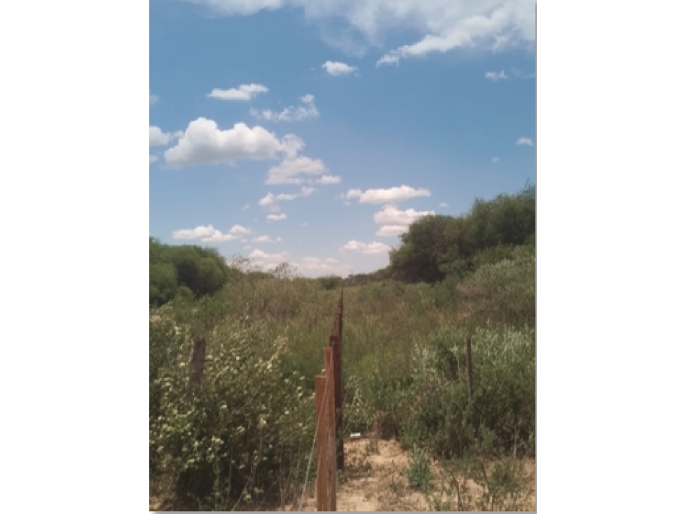 8.141 hectareas, MONTE EN ZONA DE GENERAL DIAZ. - 4