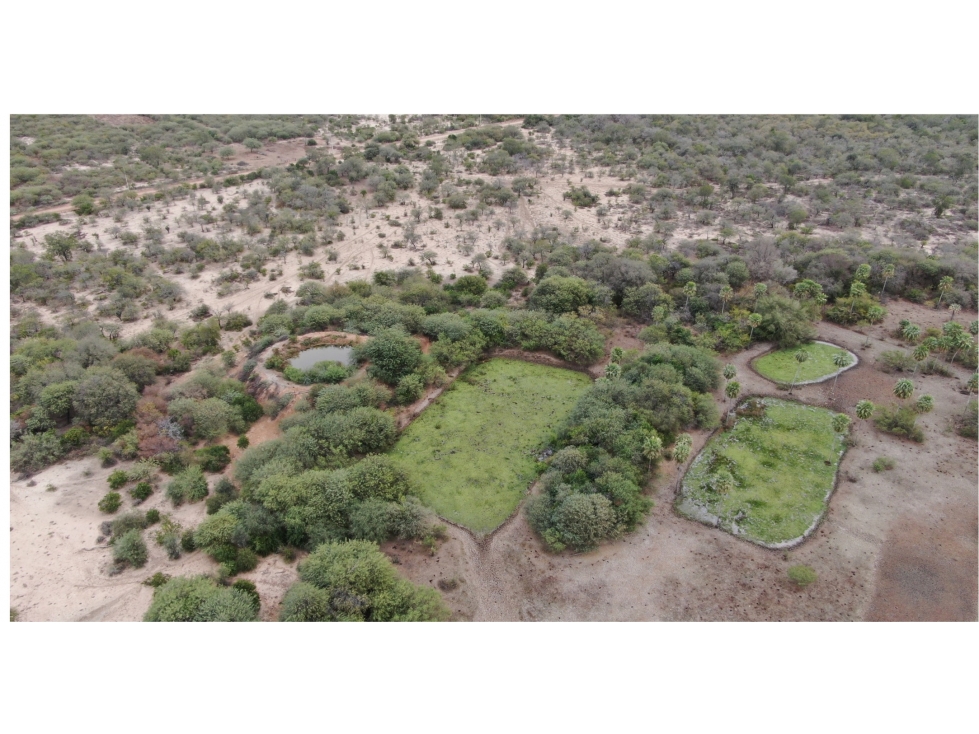 4.800 has. aptitud mixta en zona de Margarinho, Chaco - 5