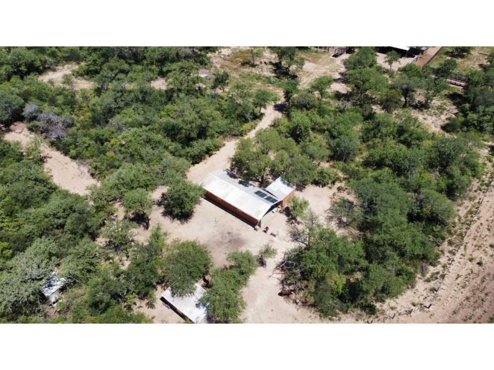 3.369 has. agro-ganaderas en Chaco oeste, sobre acuifero - 5