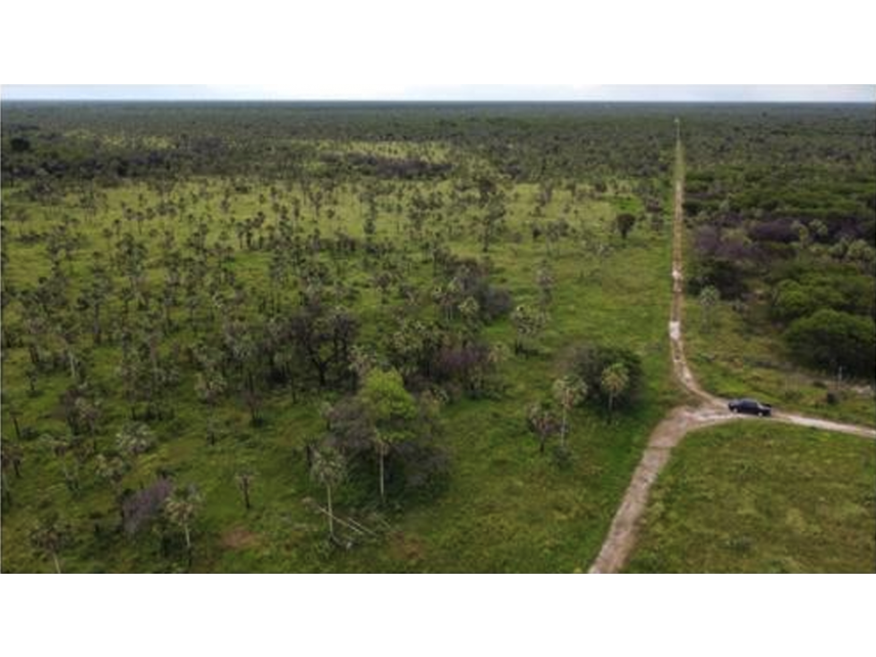 1.139 has, Campo para ganadería en Bajo Chaco, Paraguay - 3
