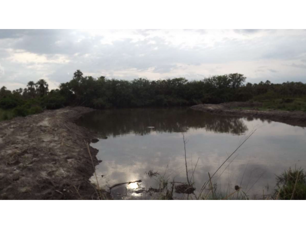 2800 has. campo ganadero funcionando, vendemos en Bajo Chaco - 3