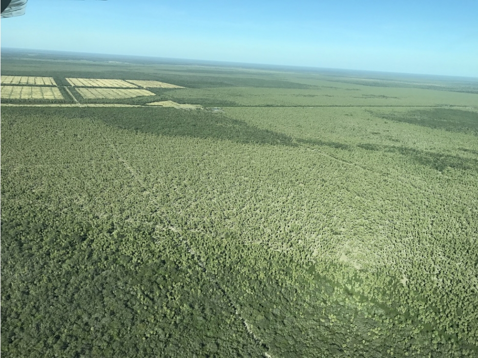 Estancia 12.732 ha en venta, Alto Paraguay Lista para producir - 2