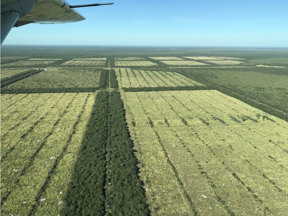 Estancia 12.732 ha en venta, Alto Paraguay Lista para producir - 3