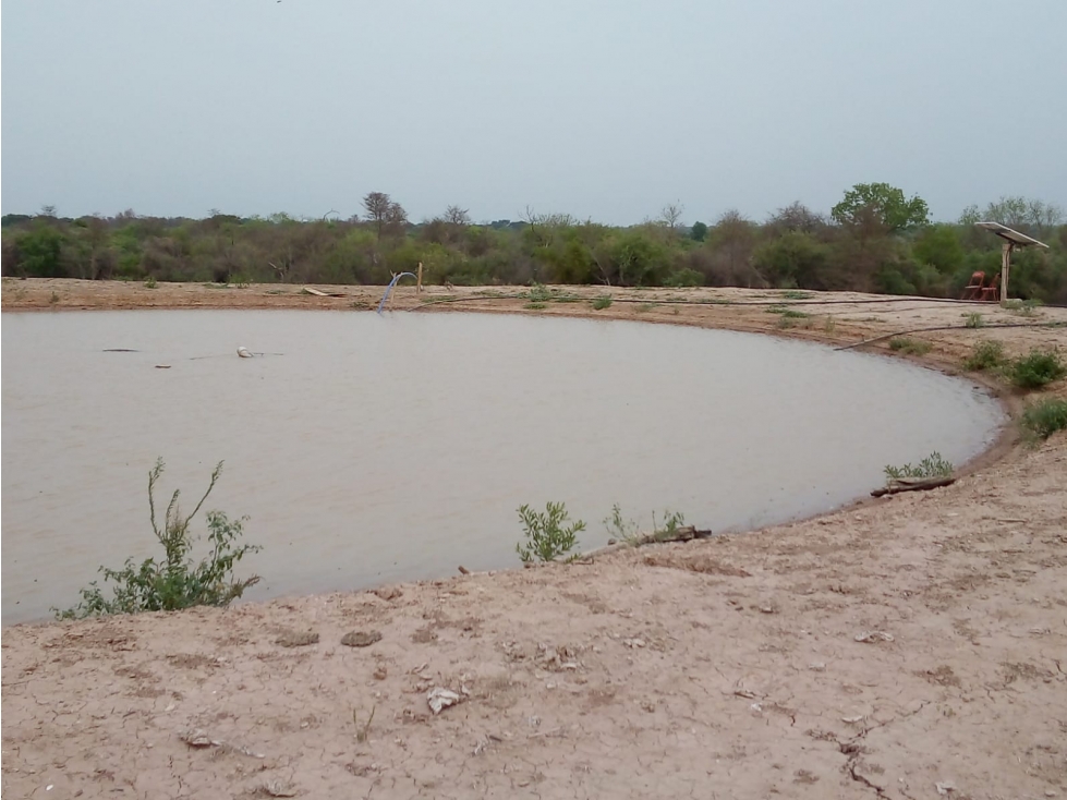 9850 has. agroganaderas con pivot, en Boquerón. - 5