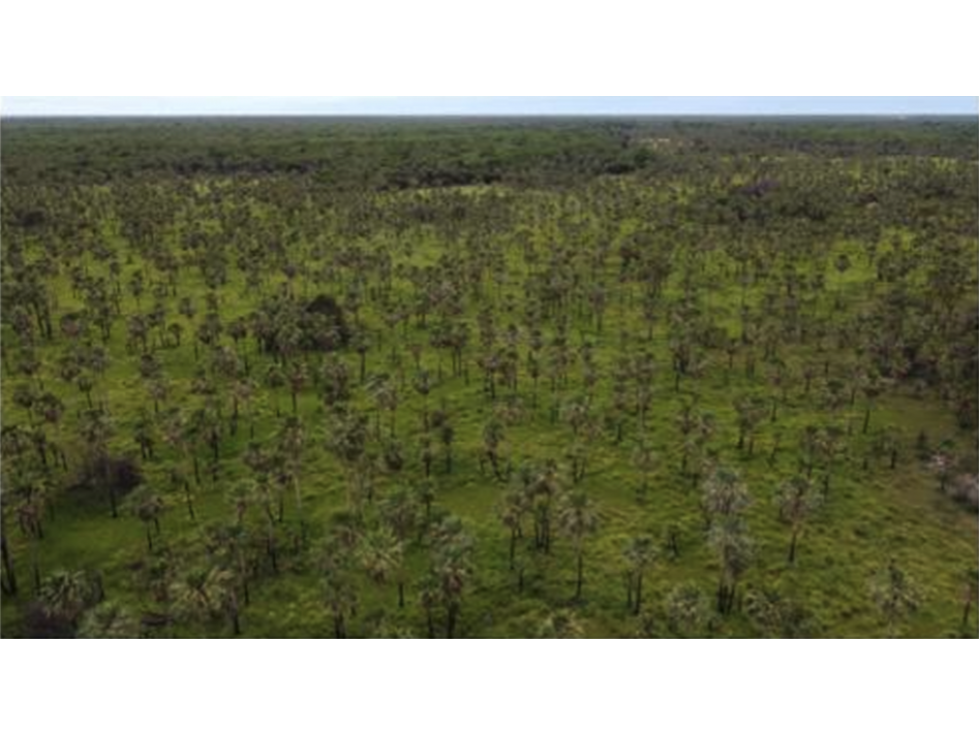 1.139 has, Campo para ganadería en Bajo Chaco, Paraguay - 4