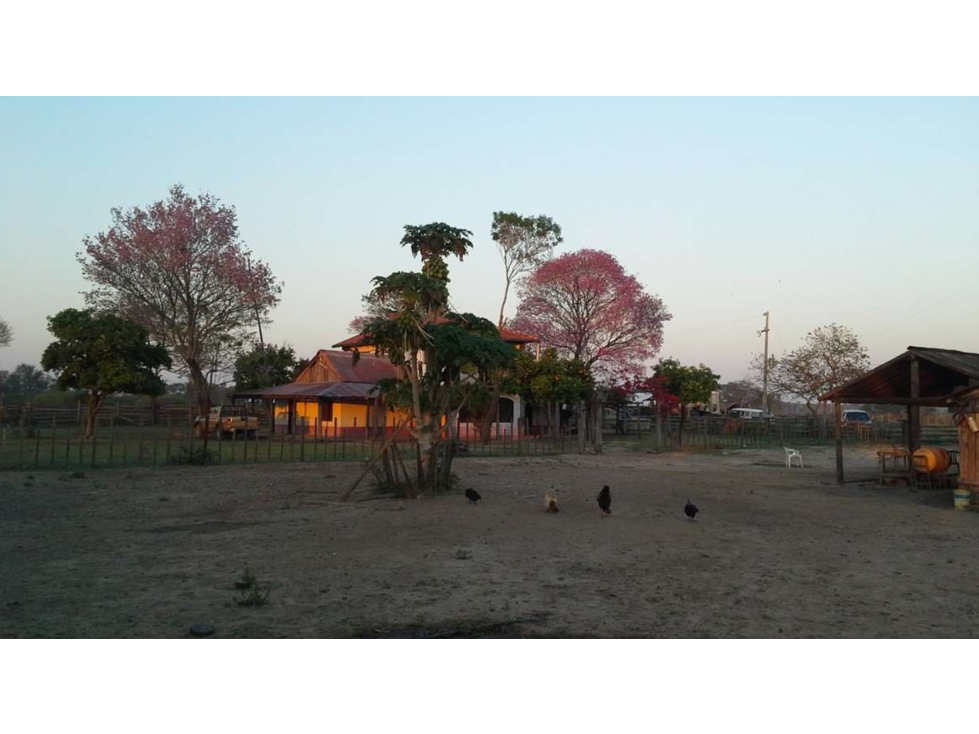 2800 has. campo ganadero funcionando, vendemos en Bajo Chaco - 4