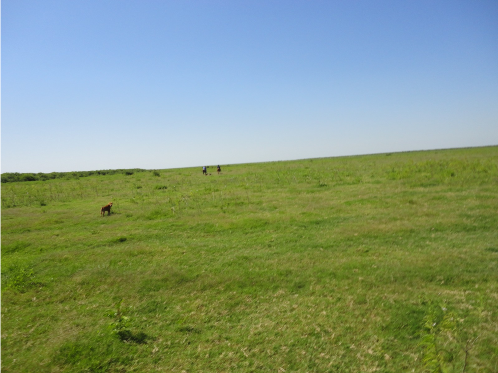 921 ha en venta o arrendamiento, Bajo Chaco - 6