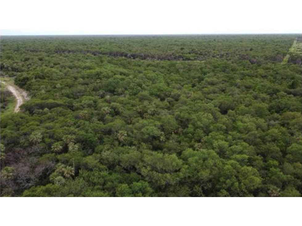 1.139 has, Campo para ganadería en Bajo Chaco, Paraguay - 5