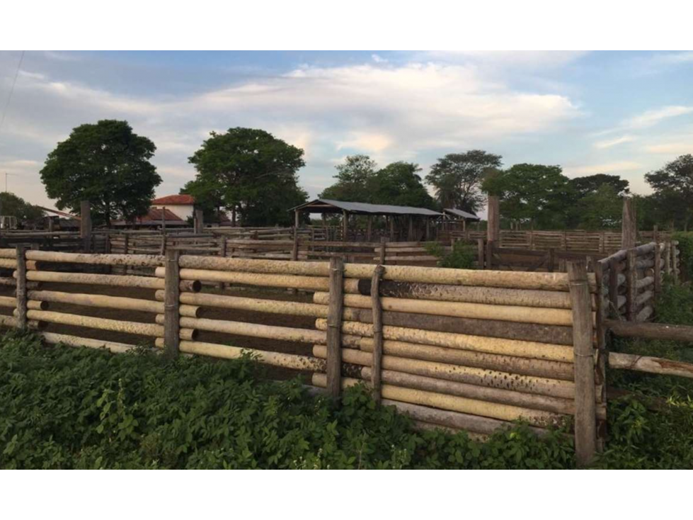 2800 has. campo ganadero funcionando, vendemos en Bajo Chaco - 5