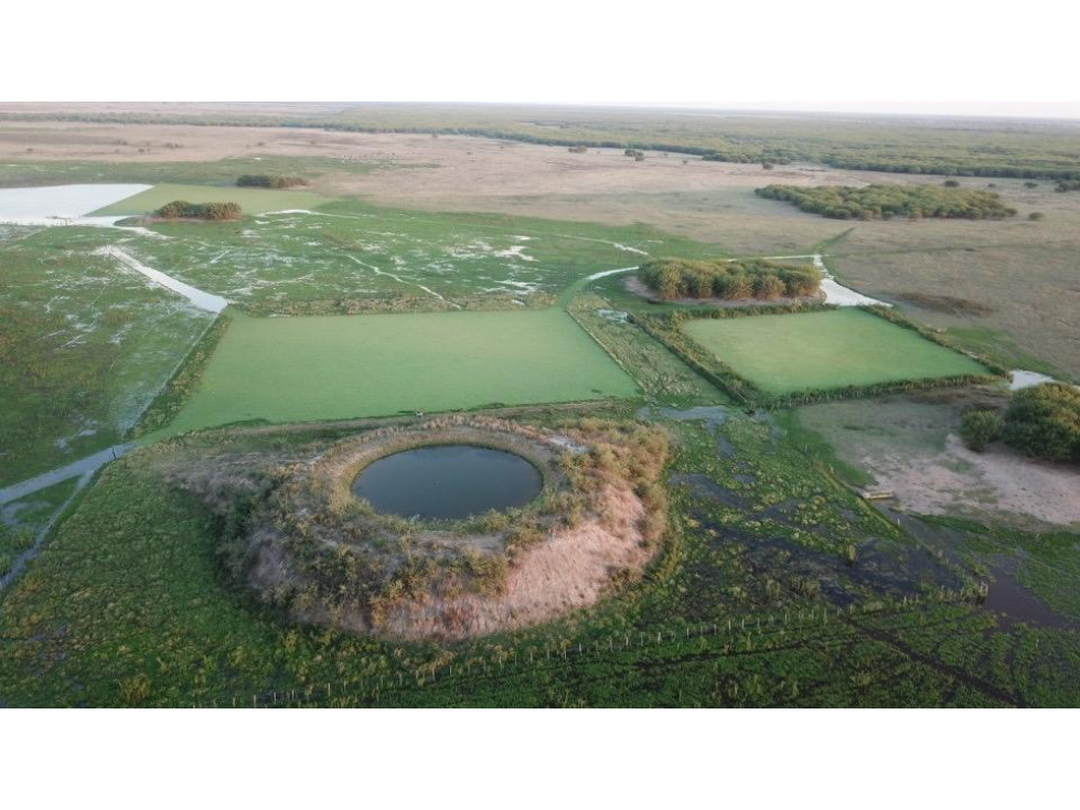 921 ha en venta o arrendamiento, Bajo Chaco - 1