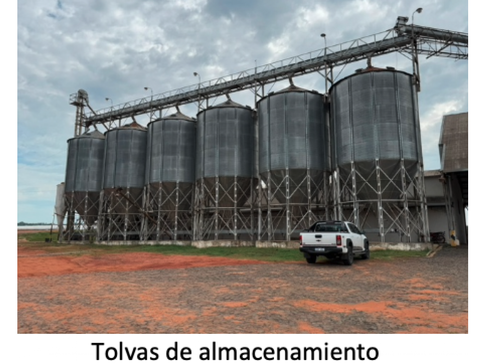 1300 has. con agricultura, silos, fabrica y feedlot en San Pedro - 2