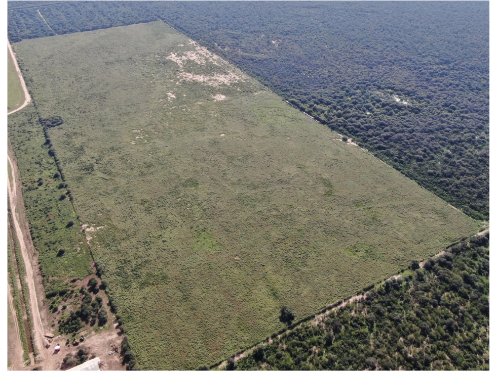 4.800 has. aptitud mixta en zona de Margarinho, Chaco - 2