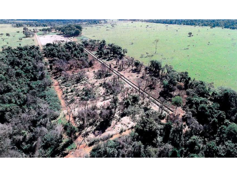 440 hectareas, GANADERIA INTENSIVA en Santani - 6
